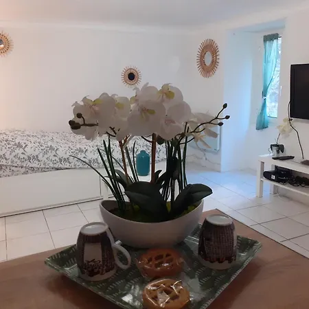 Neuf Centre Quartier Liberation דירה ניס