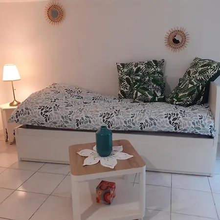 Neuf Centre Quartier Liberation ניס